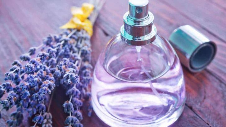 Best Lavender Perfume 2022: 5+ Detailed Reviews