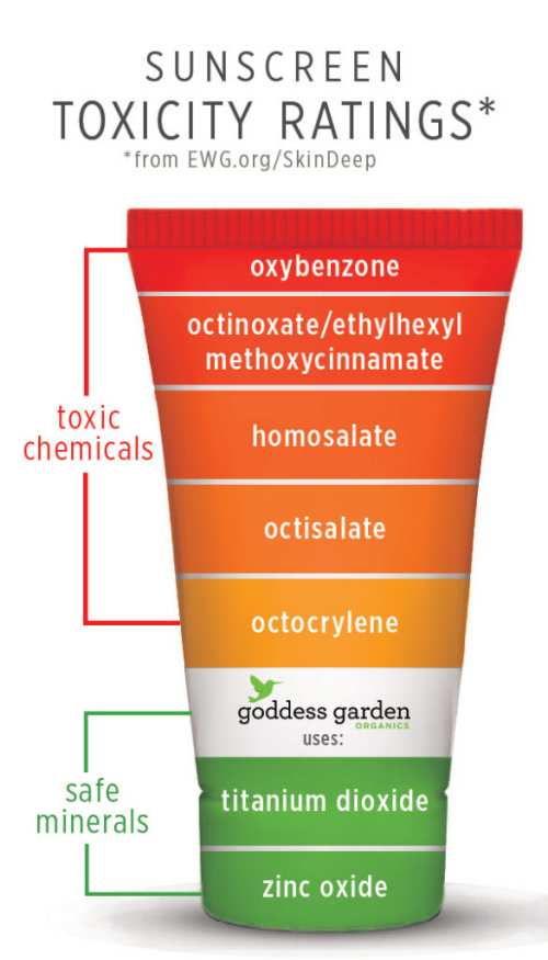 Lav Sunscreen Toxicity Ratings 1